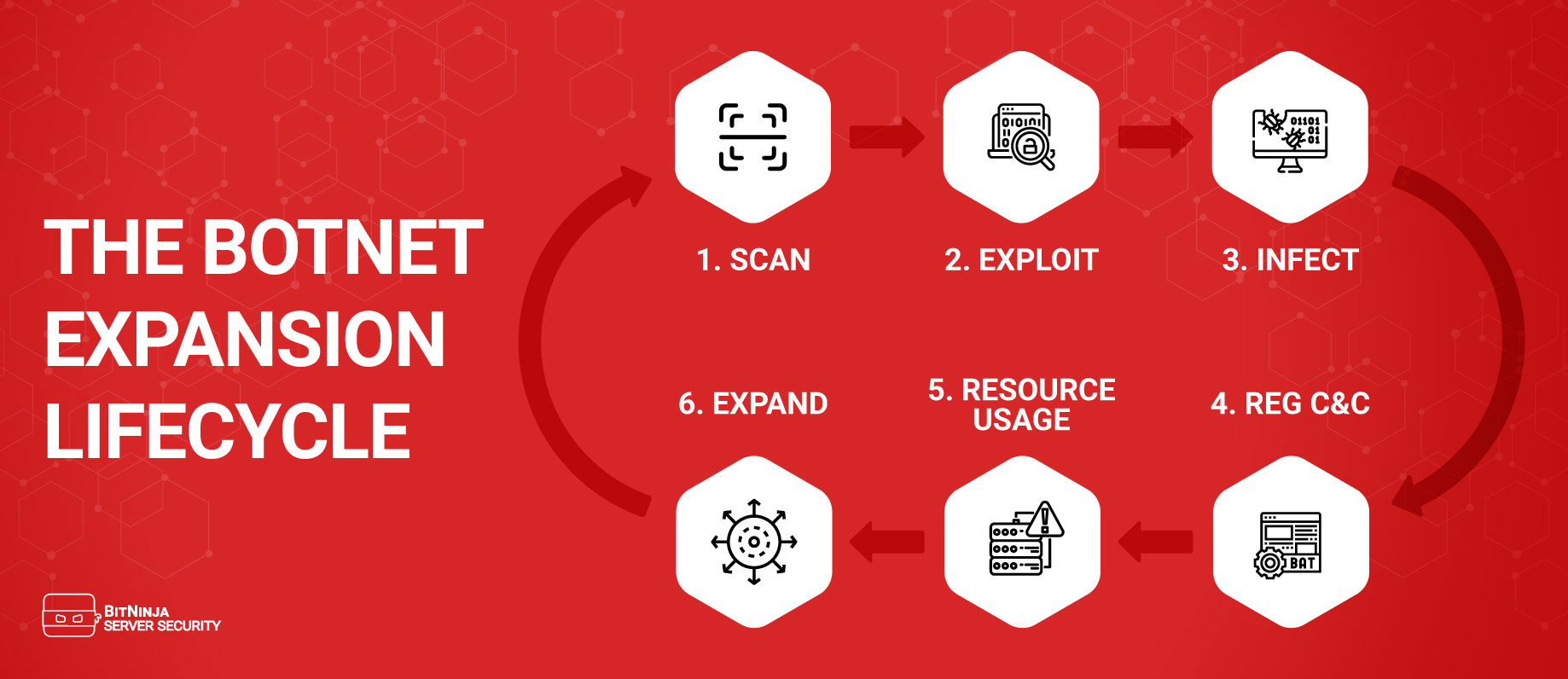 botnet lifecycle